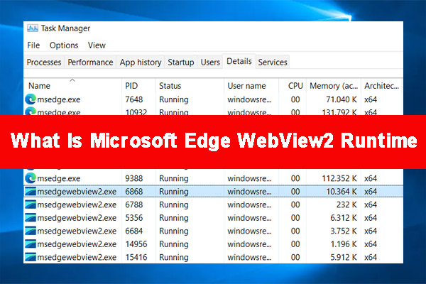 versión 117 de microsoft edge webview2 runtime o una posterior